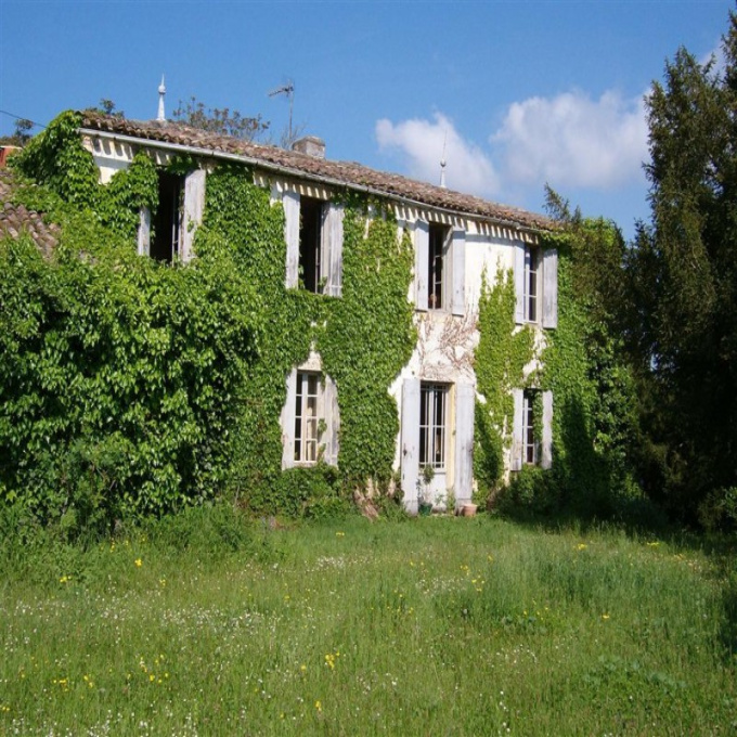 Achat propriété viticole